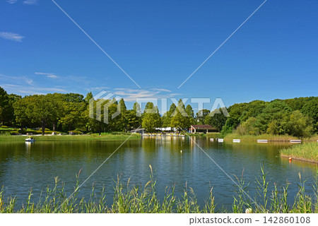 秋景:藍天與泛舟池塘 秋景:藍天與泛舟池塘 142860108