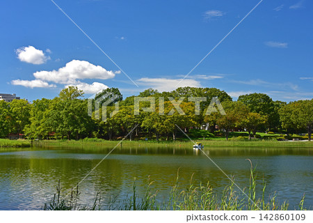 秋景:藍天與泛舟池塘 秋景:藍天與泛舟池塘 142860109