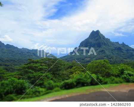French Polynesia, Moorea Island, View from the Beliveterre Lookout (Diorama Style) 142860293