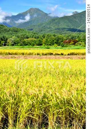 從安曇野國立阿爾卑斯山公園附近眺望城年岳（長野縣安曇野市）[2026年9月] 142860514