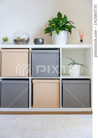 Organized storage boxes in modern shelving unit with plants and home decor. Home organization and decluttering concept Organized storage boxes in modern shelving unit with plants and home decor. Home organization and decluttering concept 142860735