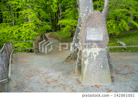 Historic stone marker along forest hiking trail in Jasmund National Park on Rugen island, Germany Historic stone marker along forest hiking trail in Jasmund National Park on Rugen island, Germany 142861081