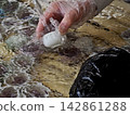 Ogaki Mizu Manju (water dumplings) 142861288