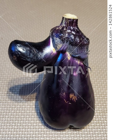 我發現了一個長得像姆明的搞笑茄子！ 142861524