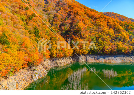 清晨,從天谷輪大橋附近拍攝到一幅美麗的景色,展現了湯西川湖水下的森林,以及山坡上秋葉倒映在湖面上的景象。 清晨,從天谷輪大橋附近拍攝到一幅美麗的景色,展現了湯西川湖水下的森林,以及山坡上秋葉倒映在湖面上的景象。 142862362