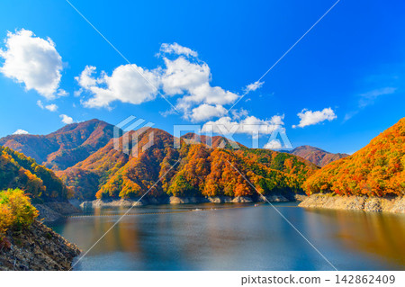 清晨,在湯西川水壩博物館附近的步道上拍攝到一幅美麗的景色,畫面中湯西川湖在湛藍的天空下顯得格外美麗,周圍環繞著秋葉覆蓋的群山。 清晨,在湯西川水壩博物館附近的步道上拍攝到一幅美麗的景色,畫面中湯西川湖在湛藍的天空下顯得格外美麗,周圍環繞著秋葉覆蓋的群山。 142862409
