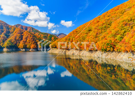 清晨,在湯西川水壩博物館附近的步道上拍攝到一幅美麗的景色,畫面中湯西川湖在湛藍的天空下顯得格外美麗,周圍環繞著秋葉覆蓋的群山。 清晨,在湯西川水壩博物館附近的步道上拍攝到一幅美麗的景色,畫面中湯西川湖在湛藍的天空下顯得格外美麗,周圍環繞著秋葉覆蓋的群山。 142862410
