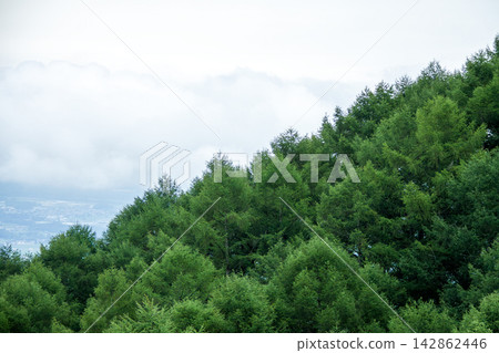 A town nestled in the mountains, shrouded in mist A town nestled in the mountains, shrouded in mist 142862446
