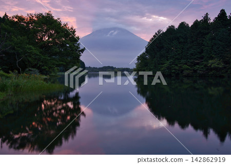 日出時分,富士山倒映在狸湖中。 日出時分,富士山倒映在狸湖中。 142862919