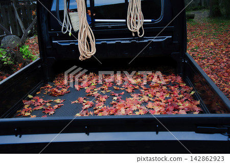 五彩斑斕的秋葉堆積在一輛輕型卡車的車廂裡。 五彩斑斕的秋葉堆積在一輛輕型卡車的車廂裡。 142862923