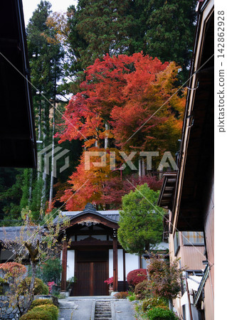 秋色絢麗,為奈良井宿的城鎮增添了色彩。 秋色絢麗,為奈良井宿的城鎮增添了色彩。 142862928