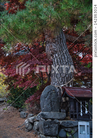 A stone monument and a small shrine surrounded by autumn leaves and ancient trees. A stone monument and a small shrine surrounded by autumn leaves and ancient trees. 142863014