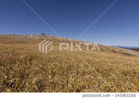 Bamboo grass fields and limestone formations spread across the Shikoku Karst in winter. Bamboo grass fields and limestone formations spread across the Shikoku Karst in winter. 142863288