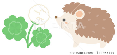 A cute illustration of a four-leaf clover and a hedgehog. A cute illustration of a four-leaf clover and a hedgehog. 142863545