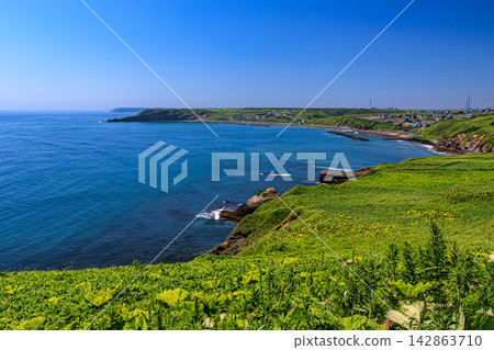 A view of the blue Pacific Ocean and the coastline on the Azechi side from Kiritappu Cape, Hamanaka Town, Hokkaido A view of the blue Pacific Ocean and the coastline on the Azechi side from Kiritappu Cape, Hamanaka Town, Hokkaido 142863710