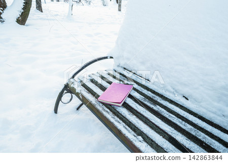 Book left on snowy park bench 142863844