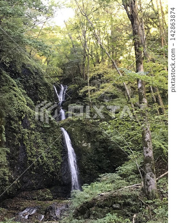 奈良縣川上村的隱密瀑布大天上瀑布,以及初夏的清新綠意。 奈良縣川上村的隱密瀑布大天上瀑布,以及初夏的清新綠意。 142863874