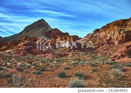 Red Sandstone Formations Desert Vegetation and Mountain Peak Under Blue Sky Red Sandstone Formations Desert Vegetation and Mountain Peak Under Blue Sky 142864042