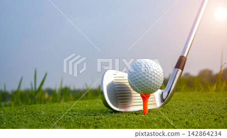 Golf club and ball in green grass. 142864234