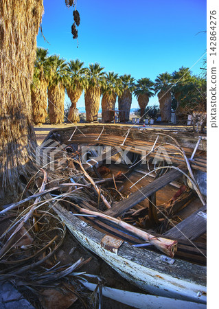 Abandoned Wooden Boat Among Palm Trees in Desert Ghost Town California Abandoned Wooden Boat Among Palm Trees in Desert Ghost Town California 142864276