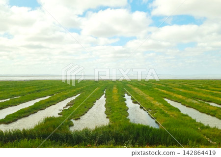 Scenic Coastal Wetlands Under a Bright Blue Sky Nature Landscape for Print Scenic Coastal Wetlands Under a Bright Blue Sky Nature Landscape for Print 142864419