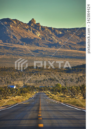 Endless Mojave Desert Road with Joshua Trees and Rugged Mountain Background Endless Mojave Desert Road with Joshua Trees and Rugged Mountain Background 142864424
