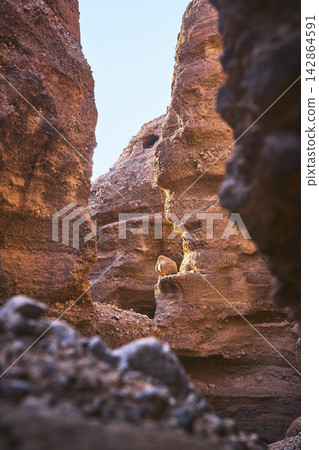 Sunlit Slot Canyon Rock Formations and Boulder in Rugged Arizona Landscape 142864591