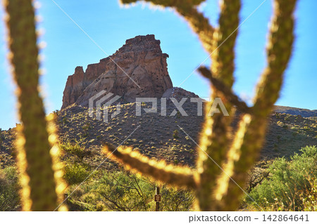 Desert Rock Formation Framed by Cactus in Bright Sunlight in Mojave California Desert Rock Formation Framed by Cactus in Bright Sunlight in Mojave California 142864641