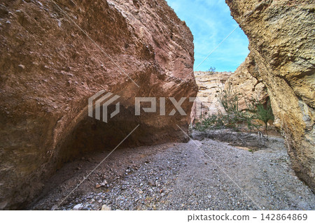 Slot Canyon Curved Rock Wall and Desert Vegetation Under Bright Blue Sky Slot Canyon Curved Rock Wall and Desert Vegetation Under Bright Blue Sky 142864869