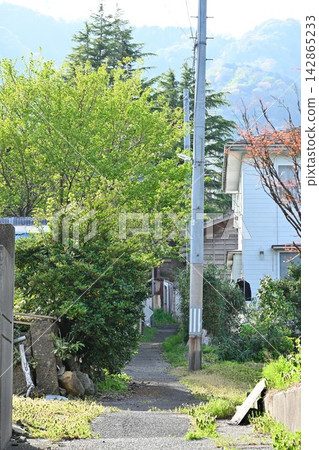 漫步在彌彥村(新潟縣)鬱鬱蔥蔥的街道上的一幕 漫步在彌彥村(新潟縣)鬱鬱蔥蔥的街道上的一幕 142865233