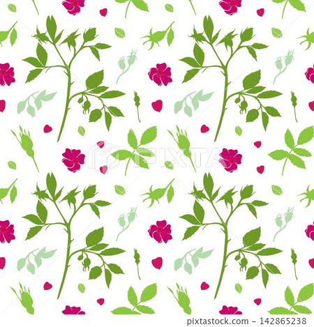 Seamless vector pattern with rose hip branches, flowers, leaves and buds on a white background. Colorful botanical design for textile, packaging, wallpaper and fabric. Seamless vector pattern with rose hip branches, flowers, leaves and buds on a white background. Colorful botanical design for textile, packaging, wallpaper and fabric. 142865238