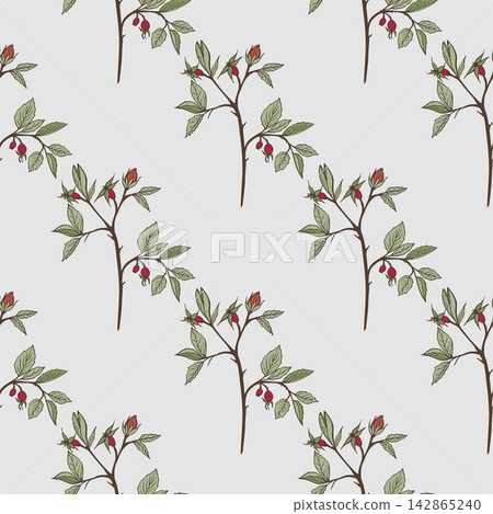 Vector seamless pattern with rosehip branches, green leaves, and red berries on sage green background. Botanical print for cosmetic packaging design. Vector seamless pattern with rosehip branches, green leaves, and red berries on sage green background. Botanical print for cosmetic packaging design. 142865240