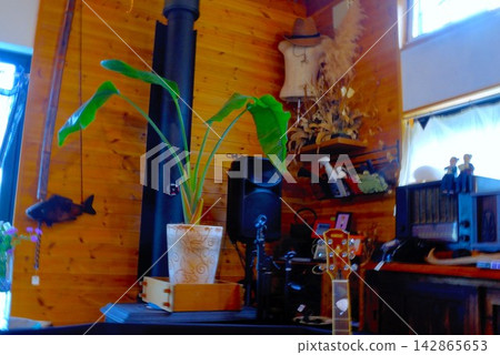 A room with houseplants A room with houseplants 142865653