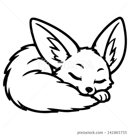 Cute sleeping fennec fox animal illustration for kids coloring book page showing peaceful sweet rest with big ears and fluffy tail for children art activity Cute sleeping fennec fox animal illustration for kids coloring book page showing peaceful sweet rest with big ears and fluffy tail for children art activity 142865735
