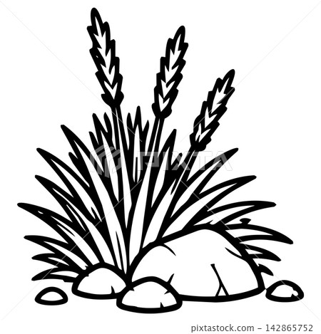 Happy wild grass clump with rock line art for kids coloring book page featuring nature plant habitat design for outdoor animal story illustration 142865752