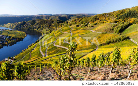 aerial view of rice field aerial view of rice field 142866052