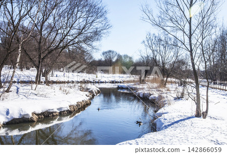 river in winter river in winter 142866059