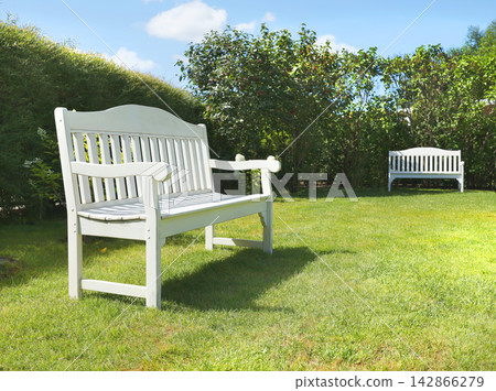Elegant white wooden bench standing on green grassy lawn with sharp shadows. Luxury backyard relaxation zone featuring beautiful panicle hydrangea bushes in background. Contemporary garden design. 142866279
