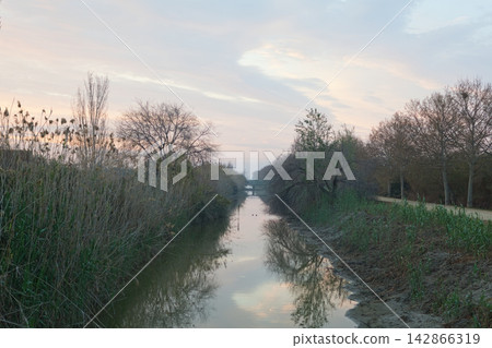 Tranquil canal lined with trees at dawn Tranquil canal lined with trees at dawn 142866319