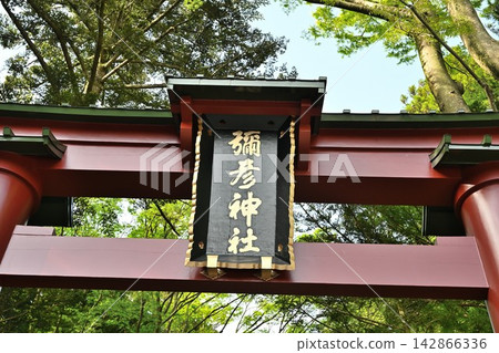 彌彥神社的第一座鳥居被綠樹環繞(新潟縣彌彥村) 彌彥神社的第一座鳥居被綠樹環繞(新潟縣彌彥村) 142866336
