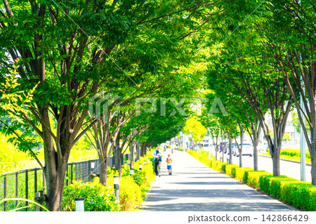 Nagareyama-Ōtakanomori Station Front / Ōtakanomori Station South Exit Park - Tree-lined Path Nagareyama-Ōtakanomori Station Front / Ōtakanomori Station South Exit Park - Tree-lined Path 142866429