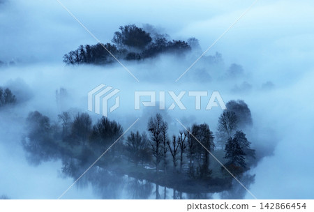 fog in the morning fog in the morning 142866454