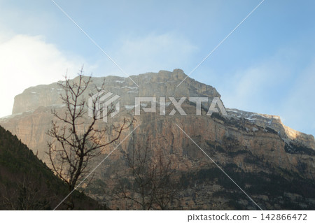 Mountain landscape with bare tree and rocky peak Mountain landscape with bare tree and rocky peak 142866472