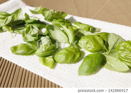 Fresh washed green basil leaves drying on white kitchen towel. Mediterranean culinary trend highlights raw organic herbs preparation zero waste meal prep homegrown ingredients and clean food aesthetic Fresh washed green basil leaves drying on white kitchen towel. Mediterranean culinary trend highlights raw organic herbs preparation zero waste meal prep homegrown ingredients and clean food aesthetic 142866917