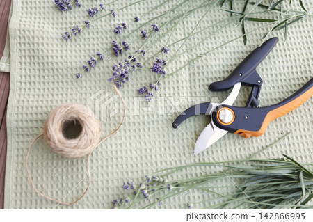 Professional garden pruner tool with fresh lavender stems on green textile flat lay background. Commercial garden equipment product shot with organic herbal flowers for hardware store catalog. Professional garden pruner tool with fresh lavender stems on green textile flat lay background. Commercial garden equipment product shot with organic herbal flowers for hardware store catalog. 142866995