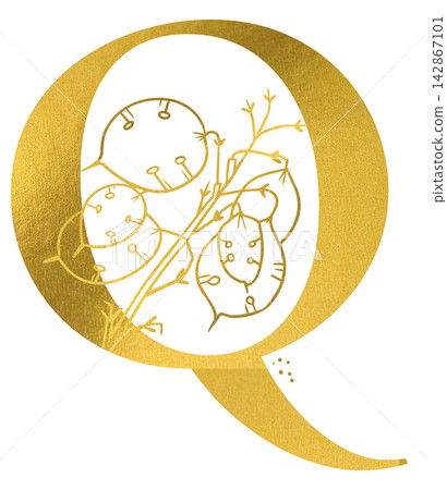 Golden letter Q monogram with hand drawn outline lunaria honesty pod botanical illustration. Elegant luxury metallic gold alphabet design element for invitations. Initial winter decoration clip art. Golden letter Q monogram with hand drawn outline lunaria honesty pod botanical illustration. Elegant luxury metallic gold alphabet design element for invitations. Initial winter decoration clip art. 142867101