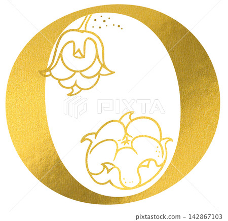Golden letter O monogram with hand drawn outline cotton flower pod botanical illustration. Elegant luxury metallic gold alphabet design element for invitations. Initial winter decoration clip art. Golden letter O monogram with hand drawn outline cotton flower pod botanical illustration. Elegant luxury metallic gold alphabet design element for invitations. Initial winter decoration clip art. 142867103
