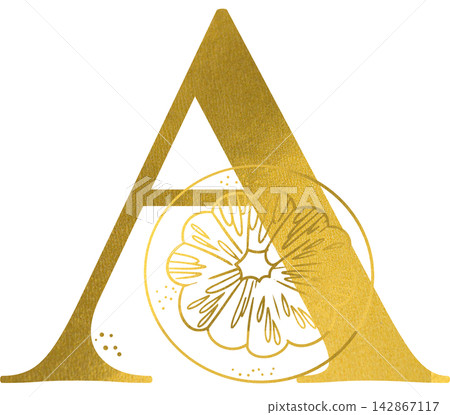Golden letter A monogram with hand drawn outline orange slice citrus fruit illustration. Elegant luxury metallic gold alphabet design element for invitations. Initial winter decoration clip art. Golden letter A monogram with hand drawn outline orange slice citrus fruit illustration. Elegant luxury metallic gold alphabet design element for invitations. Initial winter decoration clip art. 142867117