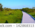 The Kushiro Marshland and the Onnenai boardwalk continue. 142868313