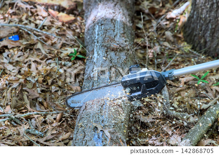 Handy man uses chainsaw to cut through fallen log sawdust flying in forest area Handy man uses chainsaw to cut through fallen log sawdust flying in forest area 142868705